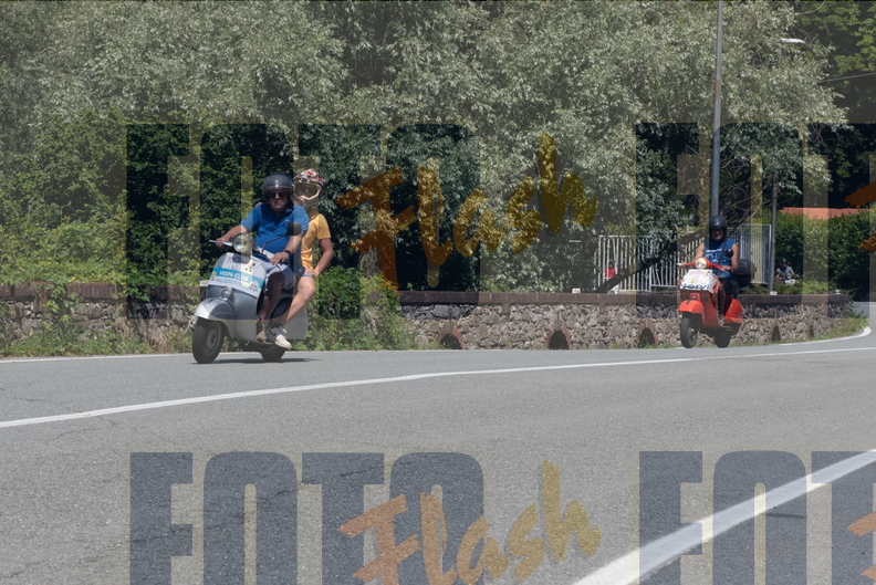 DSC_6146.jpg